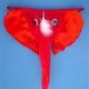man's brief