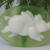 transparent soap